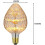Ampoule LED vintage LINLIN Firework Light Bulb E27 3W à intensité variable 5