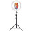 LED Circle Light with Tripod and Phone Holder 10 inch 3