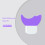 Silicone Eyelash Stencil for Beginners 1 Piece 7