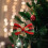 Christmas mini tree bows red green plaid 2.4" x 1.5" 4