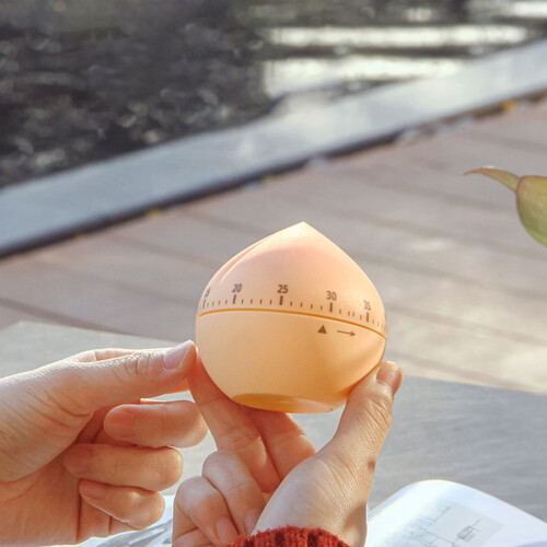 Xeyise Mechanical Kitchen Timer ABS Fruit Shape 2