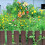 Haveskærm Farverig Metal 3-Panel 5