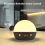 Sunrise Alarm Clock with Bluetooth Speaker and White Noise 2