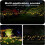 Uilvormige solar tuinlampen (2 stuks) 5