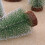 White Cedar Bottle Brush Christmas Tree 15 cm 3
