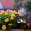 Placa comemorativa de jardim com borboleta, flor silvestre e gato (1 peça) 4