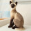 Siamese Cat Plush Toy Soft Stuffed Doll 32cm 6