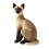 Siamese Cat Plush Toy Soft Stuffed Doll 32cm 4