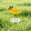 Schmetterlings-Tränkebecher und Bienenstation-Set – Bunt 3