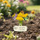Schmetterlings-Tränkebecher und Bienenstation-Set – Bunt 5