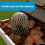 5PCS 3.5 Inch Adjustable Aluminum Gutter Downspout Guards - Expandable Leaf Filter Strainer, Heavy-Duty Gutter Protector 4