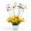 Dragonfly Garden Stakes3D Decor24pcs 5