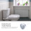 Toilet Flush Valve Single Button Electroplated 2