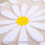 Tapete de banheiro Pink Daisy em microfibra antiderrapante, 50 x 80 cm (20 x 32 polegadas). 5