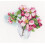 Cross Stitch Kit on Aida Canvas Bloomy Twig Pattern 7.28 x 1