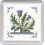 Victorian Thistles cross stitch coaster kit 1