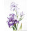 Irises Cross Stitch Kit 1 Pack 1