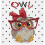 Cross Stitch Kit The Owl with Glasses B1403 1