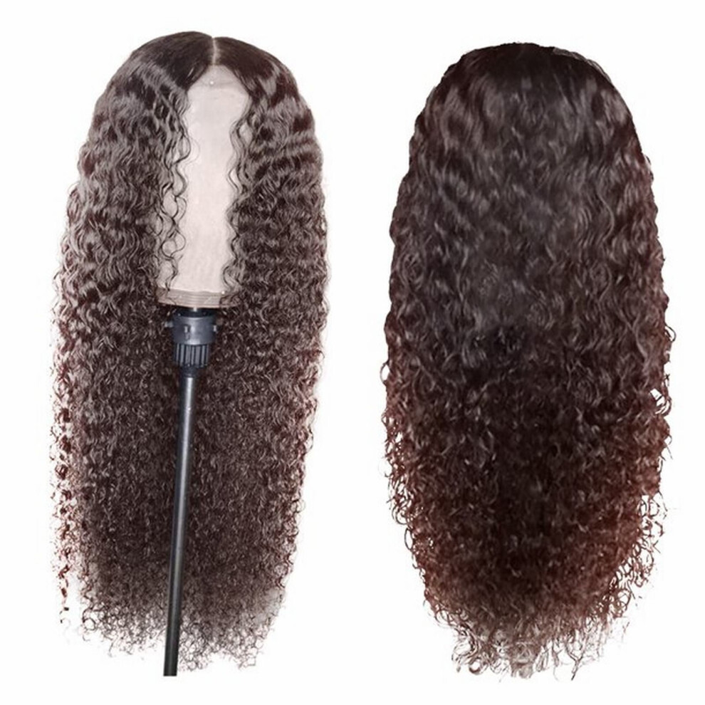 Human Hair Wig for Women Black Curly Wavy Lace Front