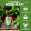 Vitax Vitax Organic House Plant Feed 250ml 4