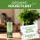 Vitax Vitax Organic House Plant Feed 250ml 9