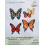 Butterfly Cross-Stitch Kit on Plastic Canvas 4 Pieces 2