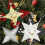 Xmas Star Template Reusable Stencil 1 Piece 4