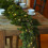 Girlanda sosnowa Norfolk Real Touch 5,9 stopy 4