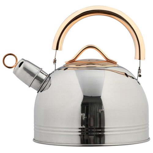 Stainless Steel Whistle Teakettle 1 pc