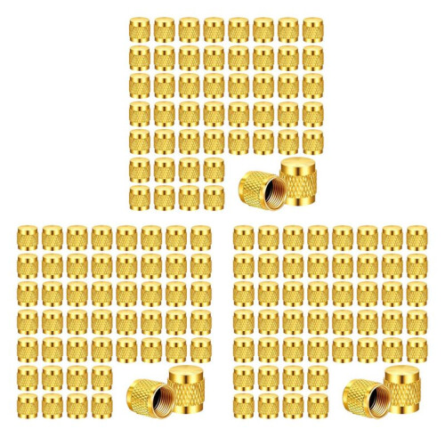 150 Peças Tampa de Latão de 1/4 Polegadas, Tampas de Latão Sólido com Vedação de Anel de Neoprene, Tampas de Válvula SAE HVAC de 1/4 Polegadas