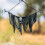 Halloween pumpkin witch hat decoration 1 piece 2