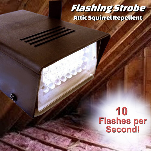 Tomfoto attic squirrel repellent strobe light 1 unit 2