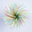 Striped Flexible Plastic Drinking Straws 8 inch 300 Pack 8