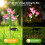 Solar Garden Stake Lights 4 pcs 8 LED multi-color 4