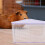 Bac à sable et toilettes pour hamster violet ABS (1 pièce) 4