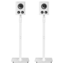 Suptek Heavy-Duty Floor Standing Speaker Stands Pair | Anti-Tip Rear Surround Sound Stands for Bose, JBL, Sony | 86-113cm Height Adjustable, 10kg Cap