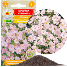 Gypsophila elegant PINK 1g