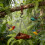 Bird Feeder Winter Spring Shape Outdoor Durable 3