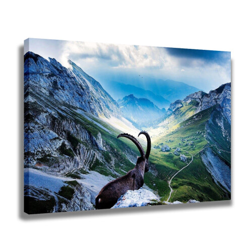 Schweizisk alplandskapsaffisch med get, 40x60 cm 1