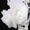 Champagnerflöten-Set für Hochzeitstoast 4