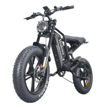 Hidoes B6 20" Fat Tire Electric Bike 48V 15.6Ah All Terrain E-Mountain Bike