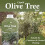 Vitax Vitax Olive Tree Feed Organic Fertilizer 1L and 900g 5