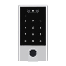 Tuya Wifi RFID Access Control Reader with Facial Recognition Fingerprint for Wiegand 24-36 125KHz 13.56MHz