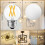 Ampoules G16.5E26 à intensité variable, blanc chaud 3000K, lot de 6 3