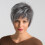 Transparent Lace Frontal Wig Silver White Short Straight 3