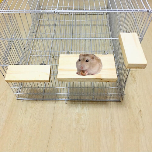 Parrot Wood Perch Stand Hanging Platform Paw Grinder S 2