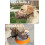 Dog Muzzle Cage Adjustable for Large and Small Dogs 3