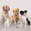 Dog Basket Muzzle Adjustable for All Sizes 5