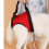 Dog Lift Support Harness for Elderly or Post-Surgery 5