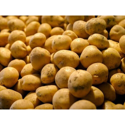 100g Organic Potato Starch Flour 1